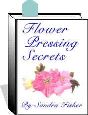Flower Pressing Secrets